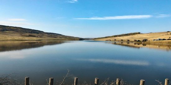 Balta Iazul Frasin, Iaşi